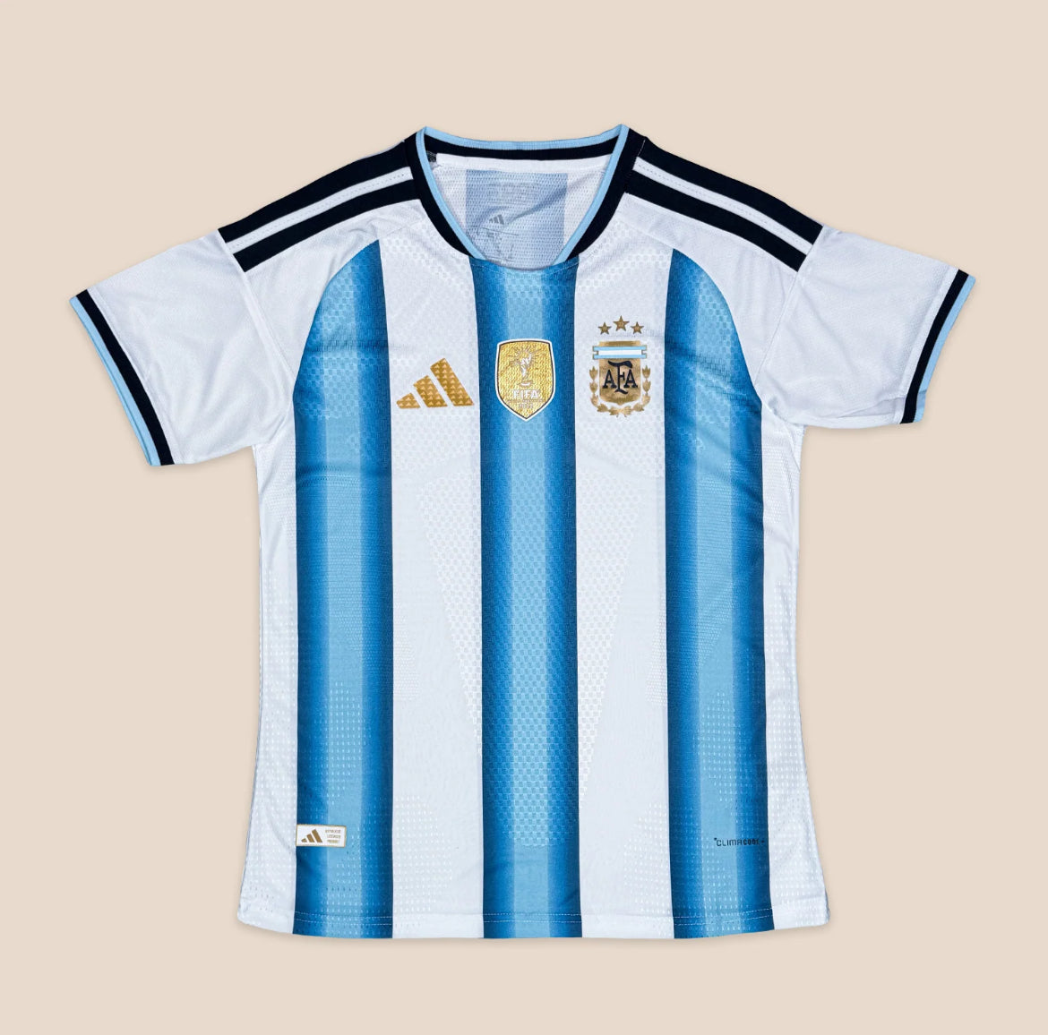 Argentina Local 2026